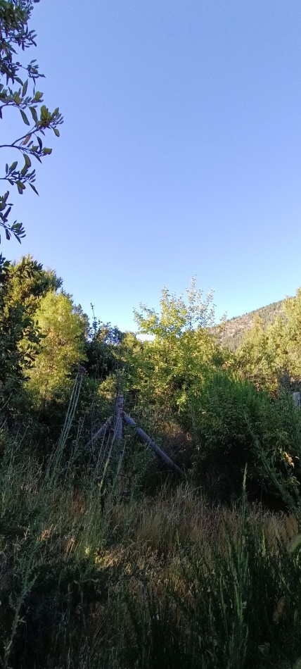 Lote en Villa Los Coihues