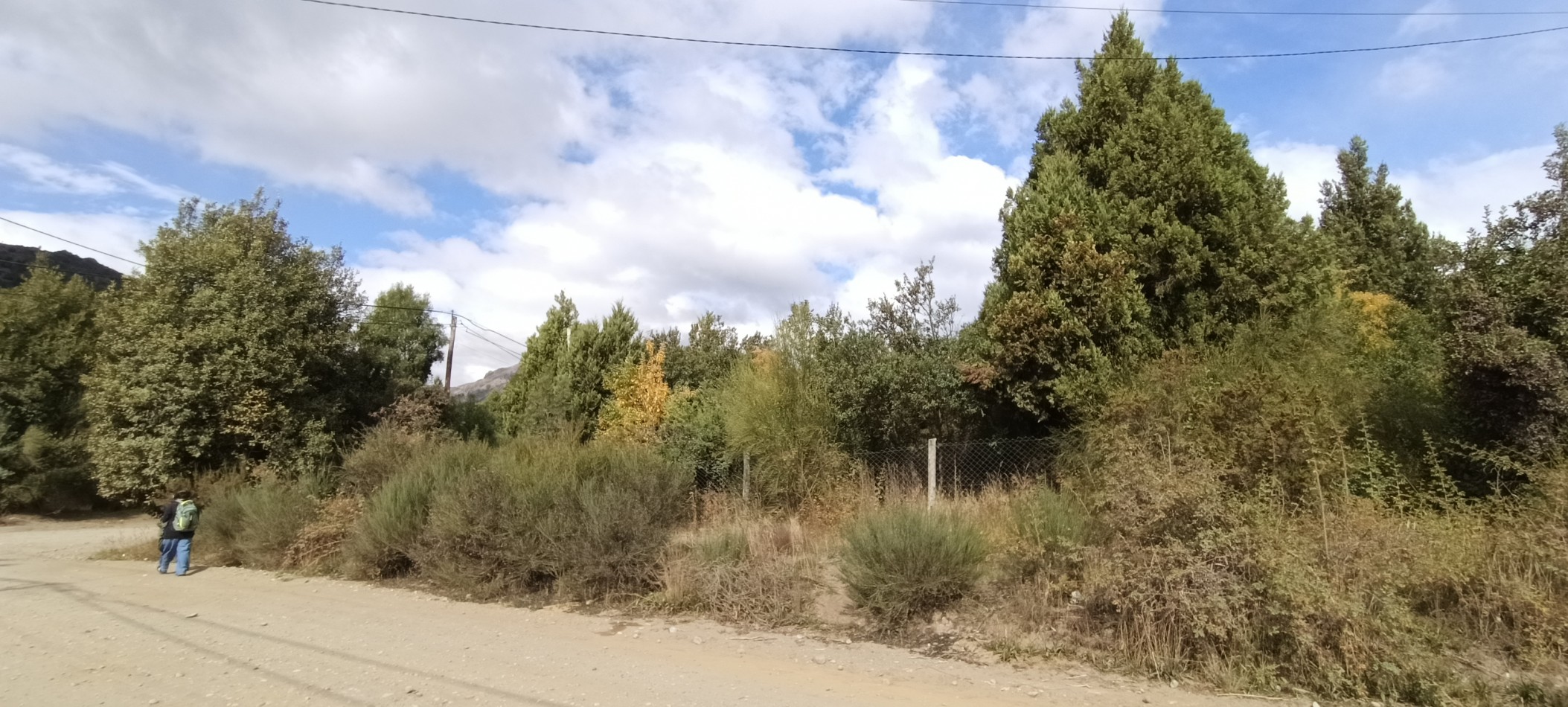 Lote en Villa Los Coihues