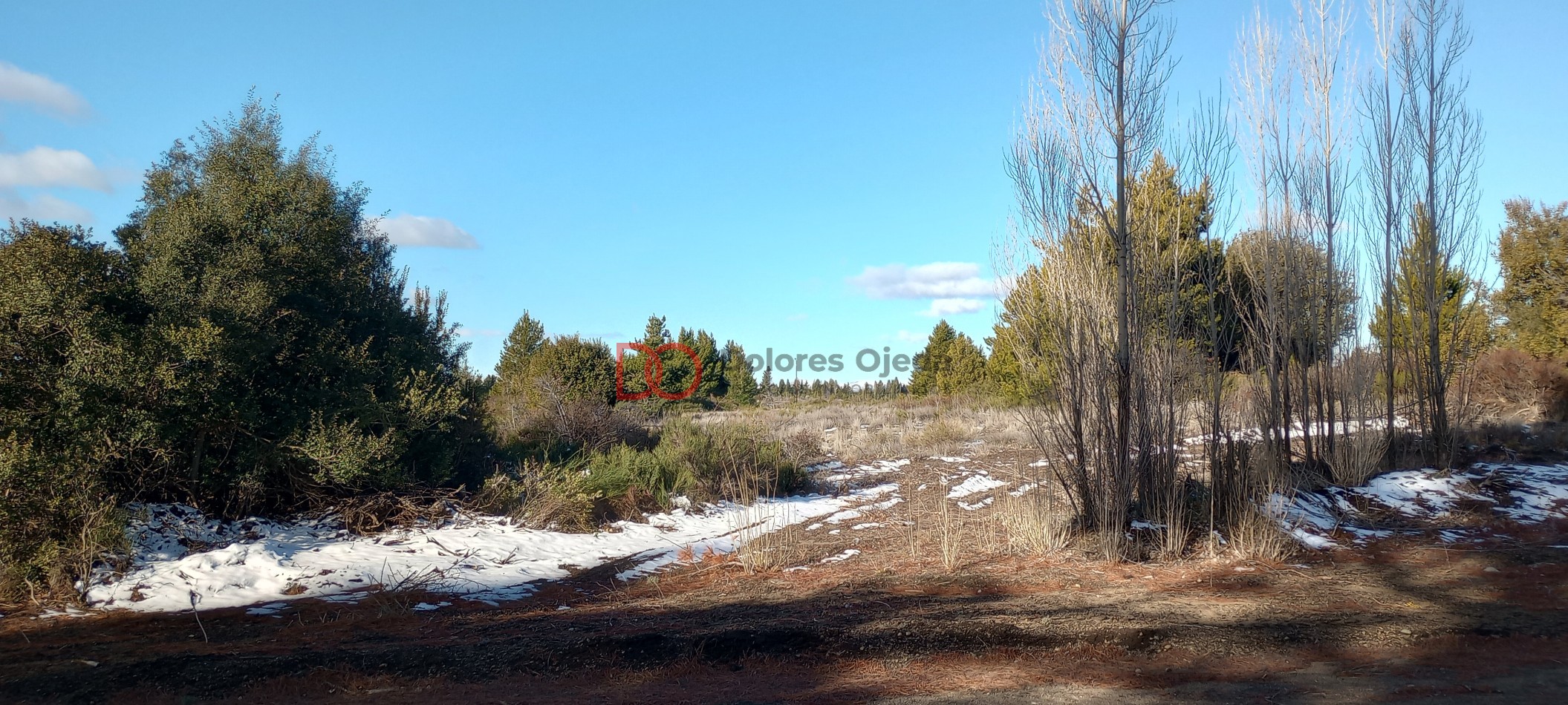 Lotes nuevo fraccionamiento Las Victorias