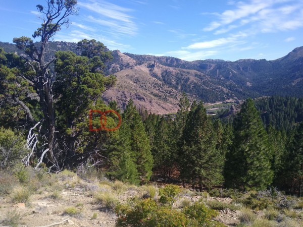 Fraccion con costa de Rio Limay