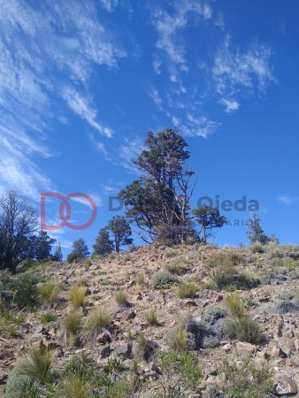 Fraccion con costa de Rio Limay