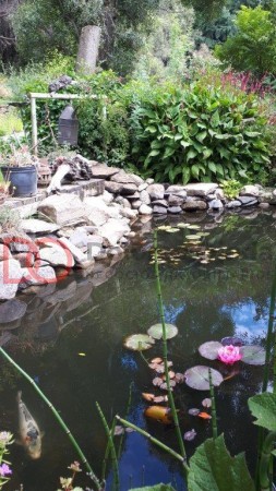 Privacidad con vista plena!