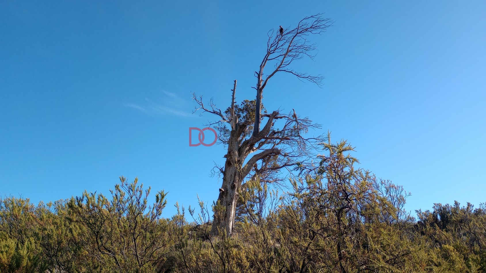 Gran vista en barrio cerrado