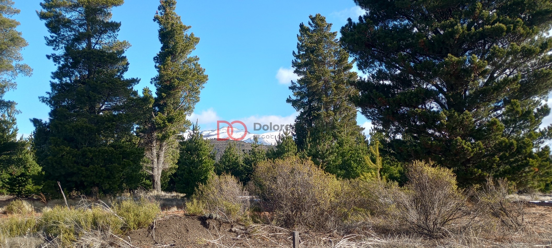 Lotes nuevo fraccionamiento Las Victorias