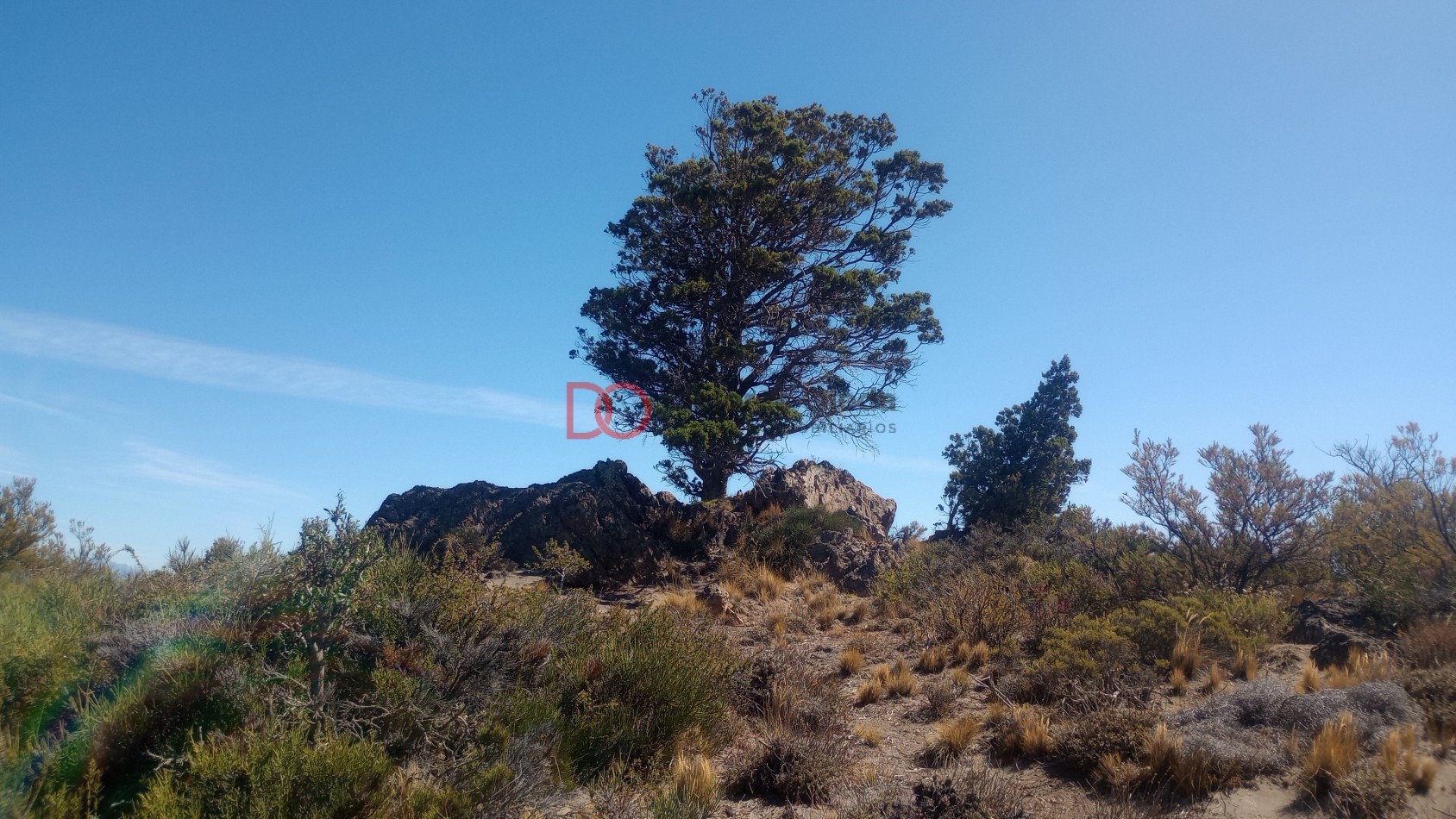 Gran vista en barrio cerrado