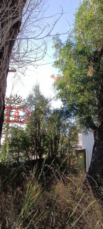 Lote urbano vista unica